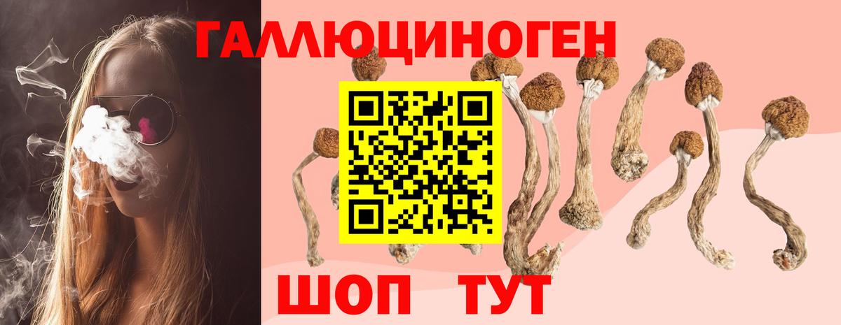 Галлюциногенные грибы ЛСД Гай